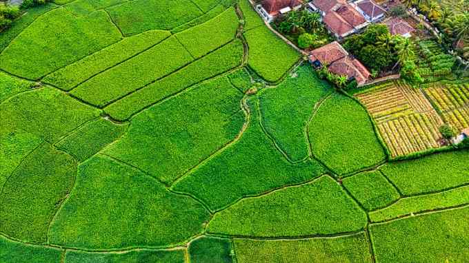 Raymond plotted development scheme